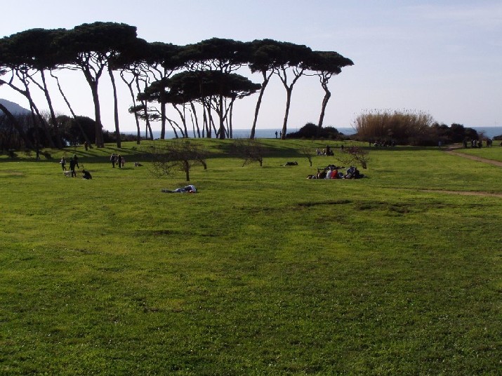 I fossi e lo stagno di Baratti (Piombino - LI)